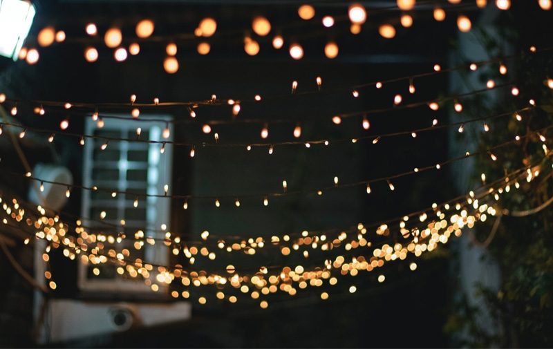 LED Fairy Lights in a garden