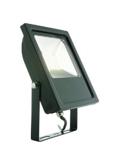 30W LED Floodlight in Black Pure White 6000K Mean Well Driver