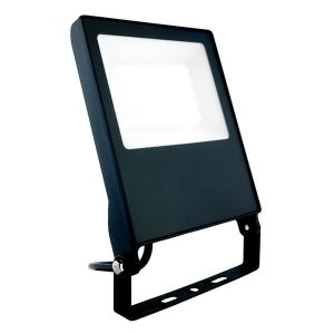 30W LED Floodlight in Black with Frosted Glass and Cool White illumination