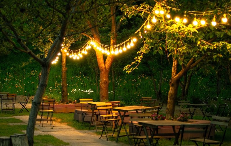 LEDs Installed in a garden all over to illuminate the space