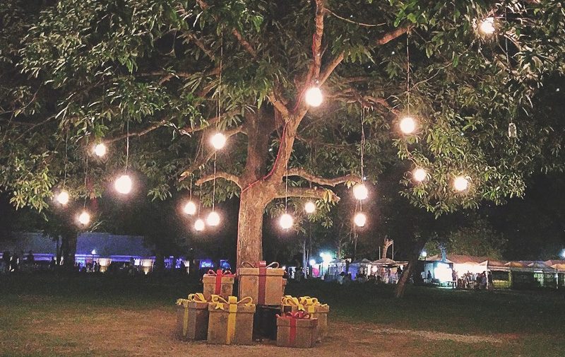 A large tree covered in lighitng illuminating a table and chairs underneath in a picnic setting at night
