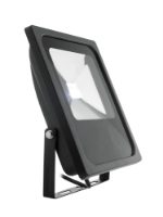 30W Black RGB LED Floodlight with memory function (White)